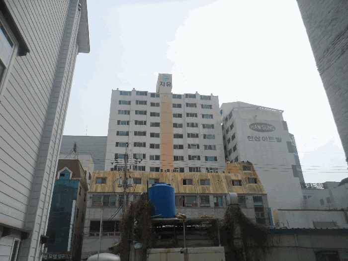 사진 7