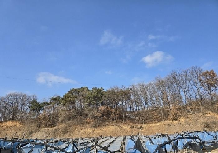 사진 15
