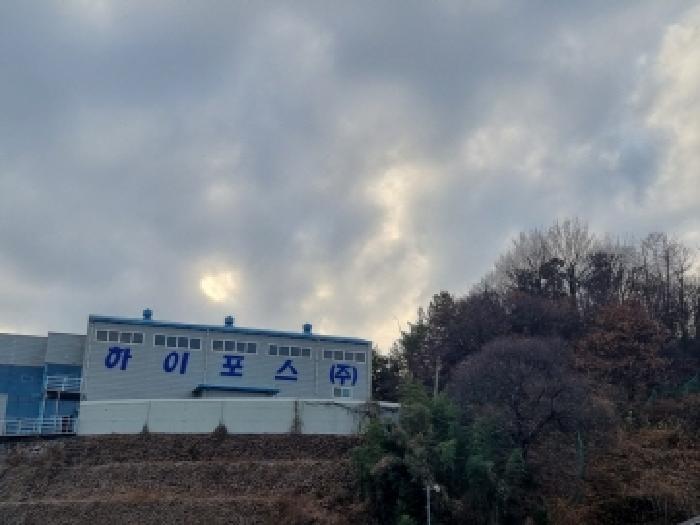 사진 5