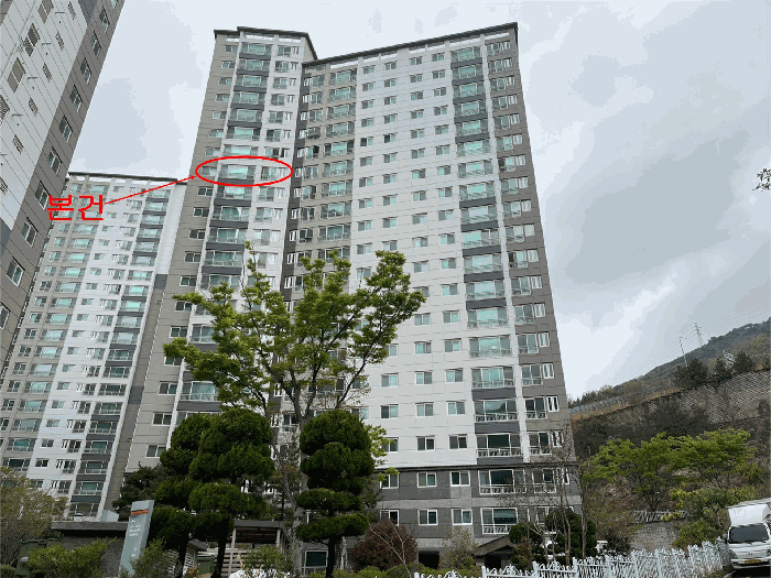 사진 1