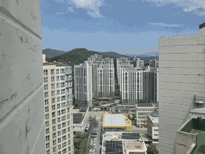 사진 5