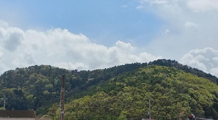 사진 1