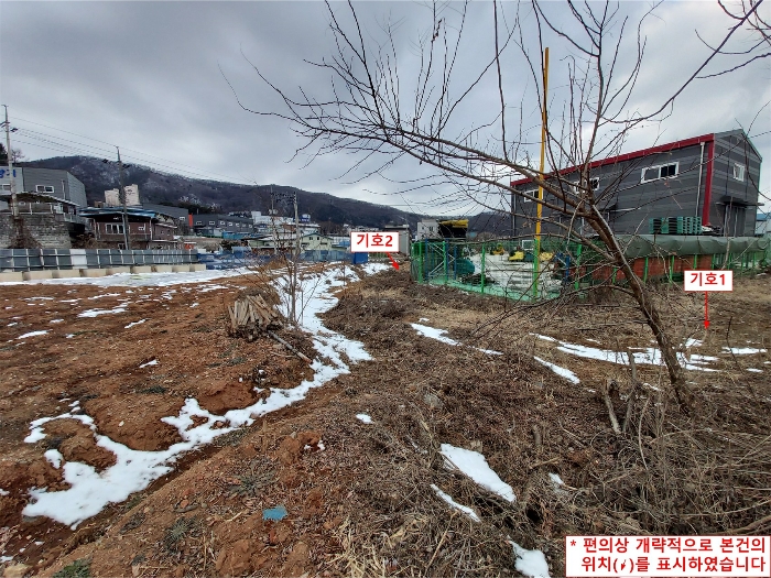 사진 10