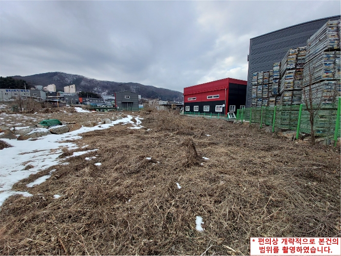 사진 11