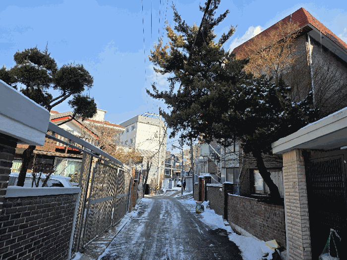 사진 13
