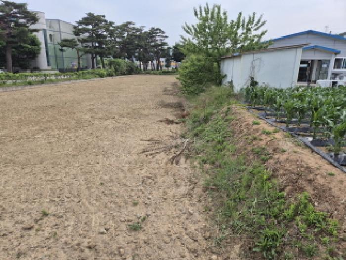 사진 2
