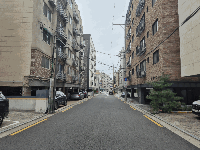 사진 9