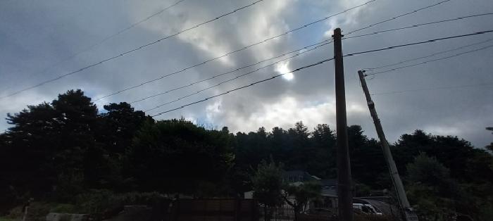 사진 1
