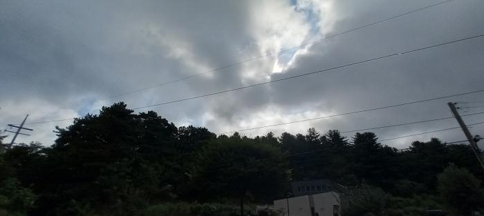 사진 2