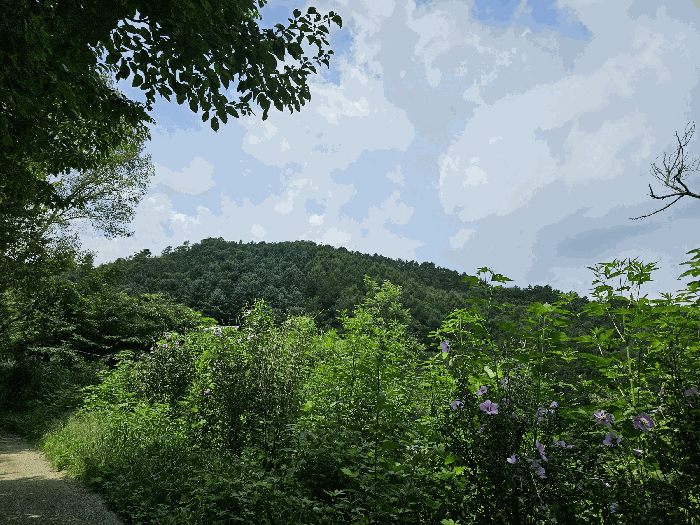 사진 8