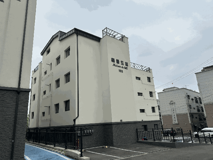 사진 11