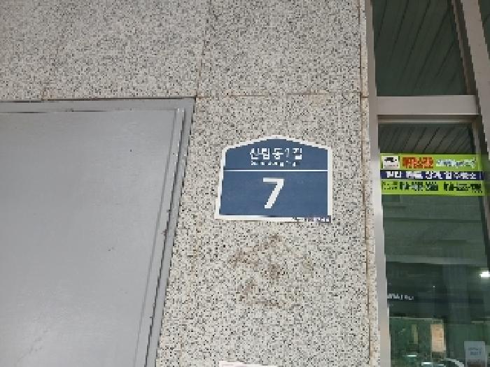 사진 10