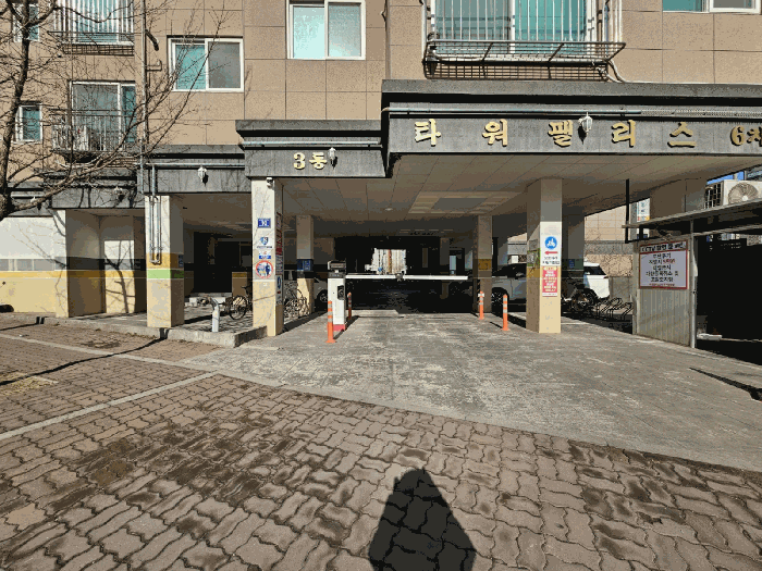 사진 12
