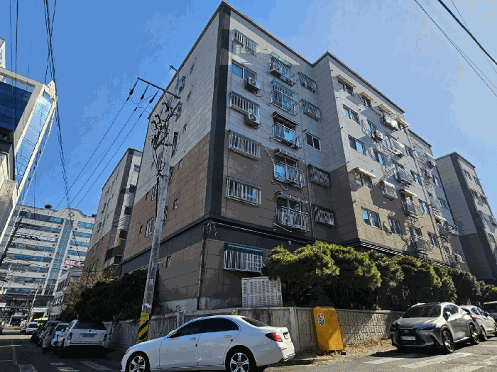 사진 14