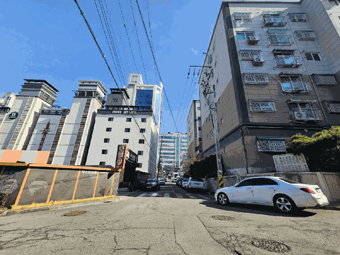 사진 21
