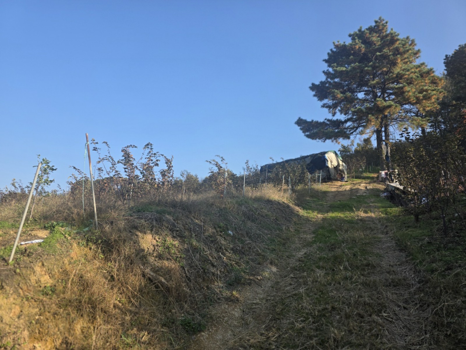 사진 1