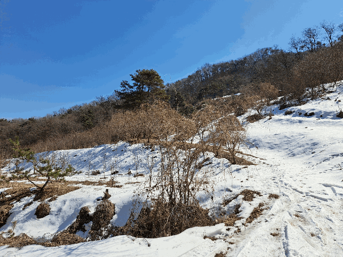 사진 12