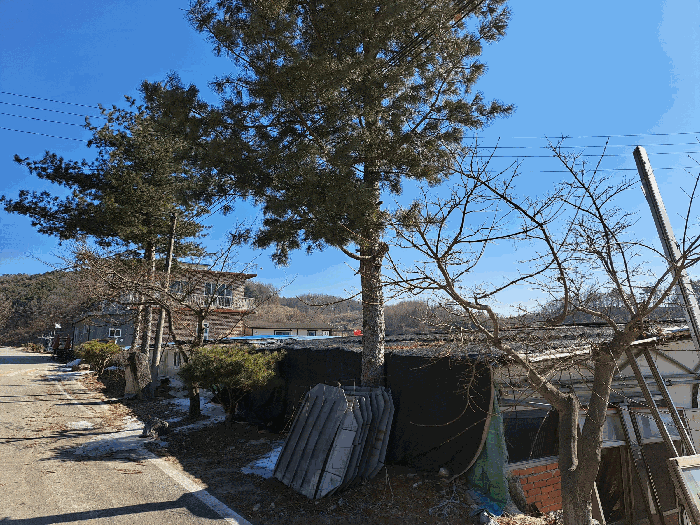 사진 46