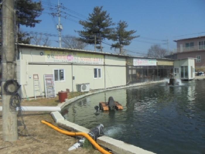 사진 49