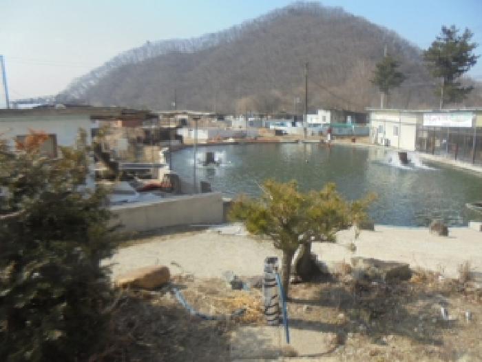 사진 51