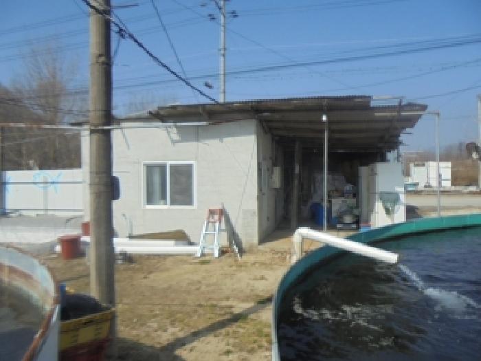 사진 57