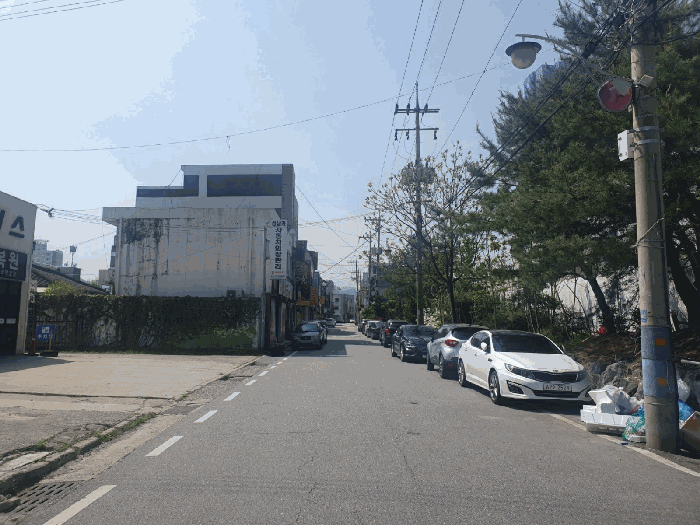 사진 1