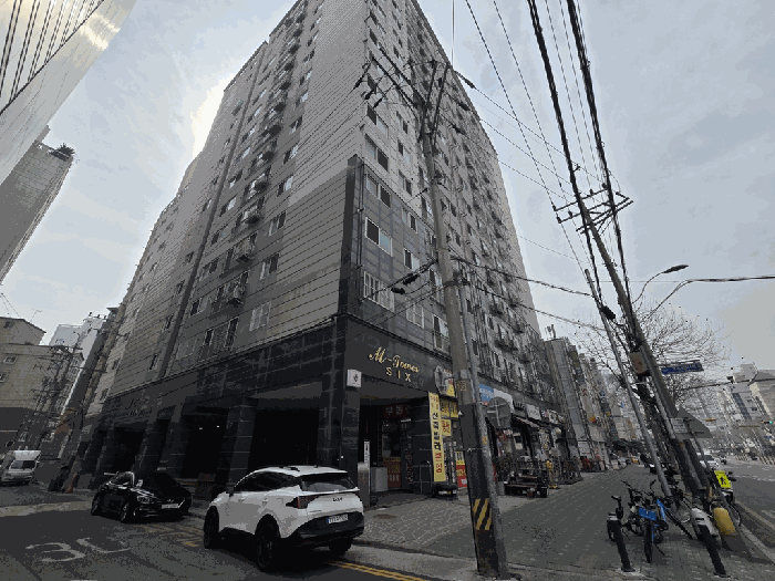 사진 10