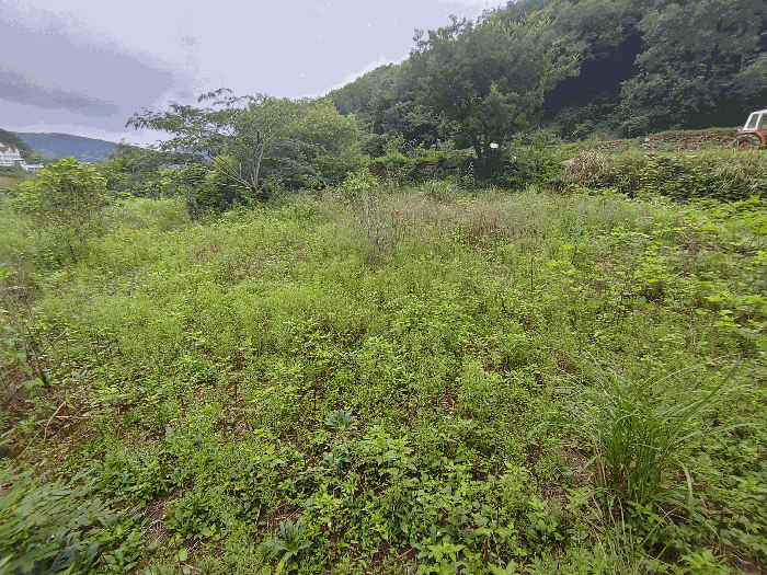 사진 5