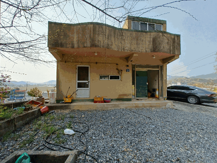 사진 10