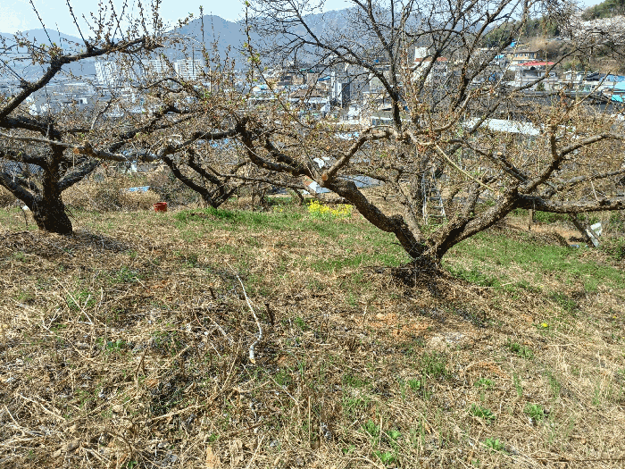 사진 14