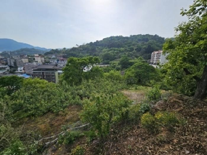 사진 21