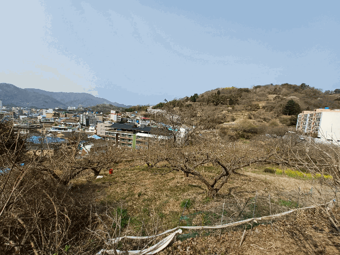 사진 1