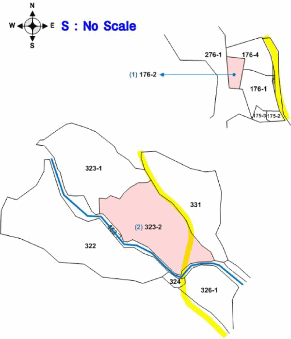 사진 5