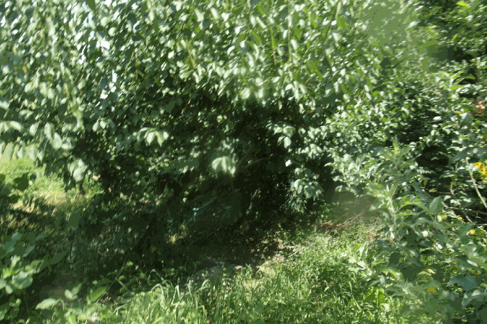 사진 11