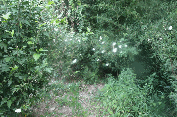 사진 14