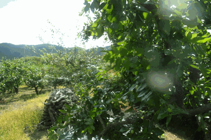 사진 7