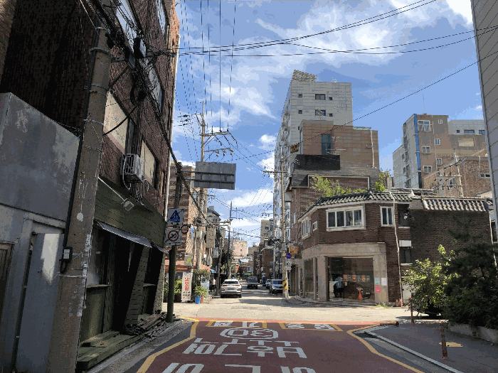 사진 12