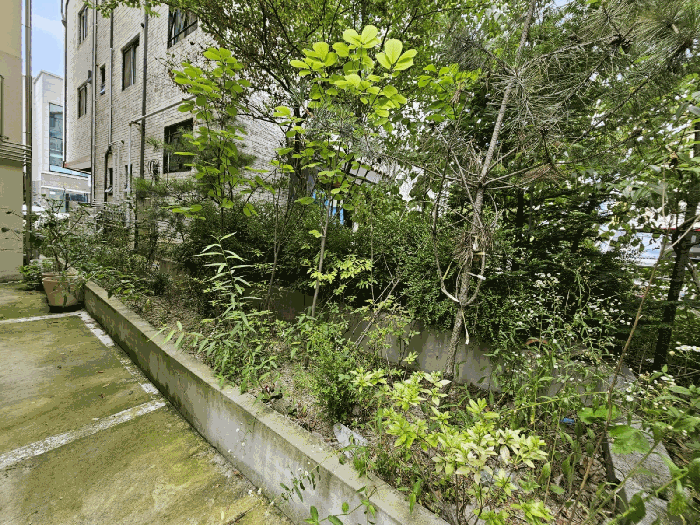 사진 13