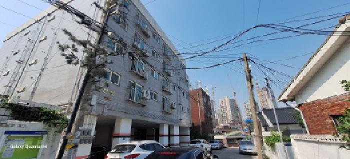 사진 2