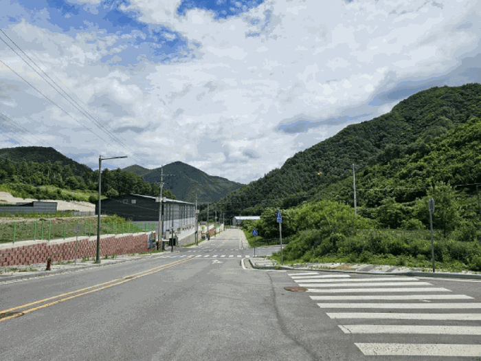 사진 15