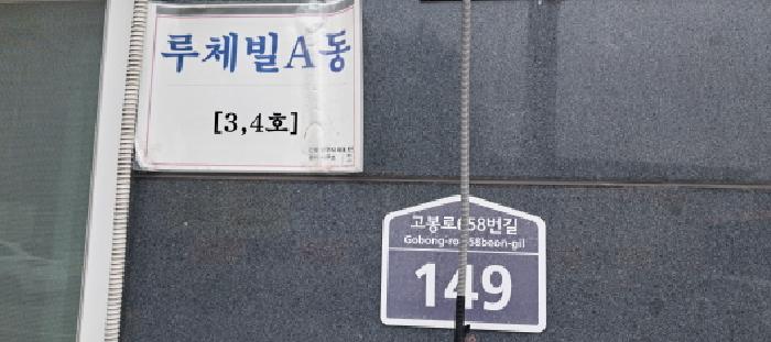 사진 11