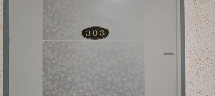 사진 12