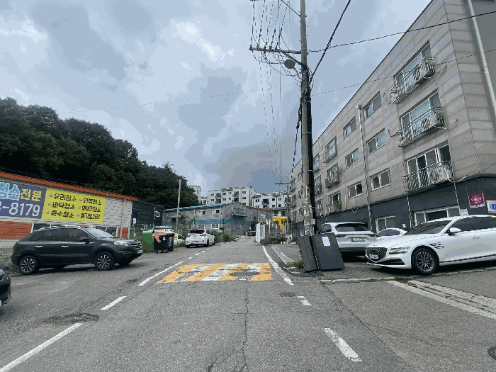 사진 5