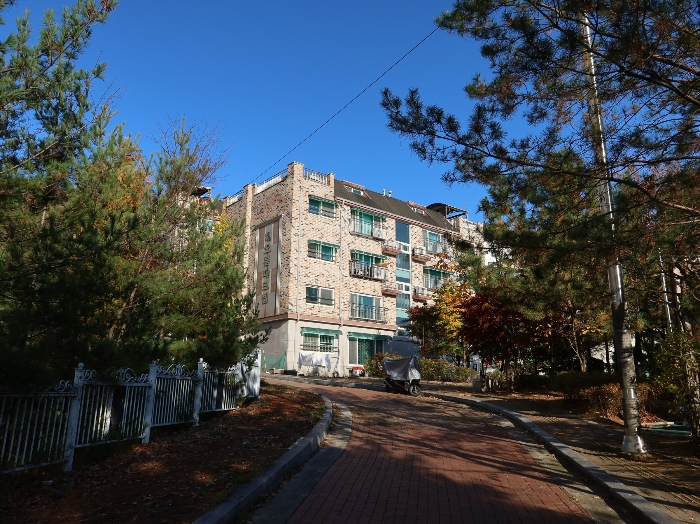 사진 10