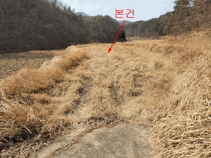 사진 1
