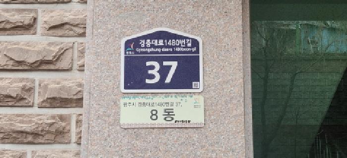 사진 3