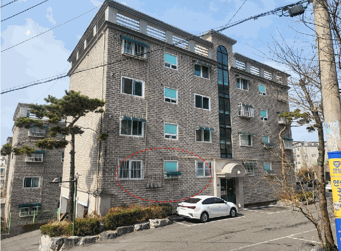 사진 5