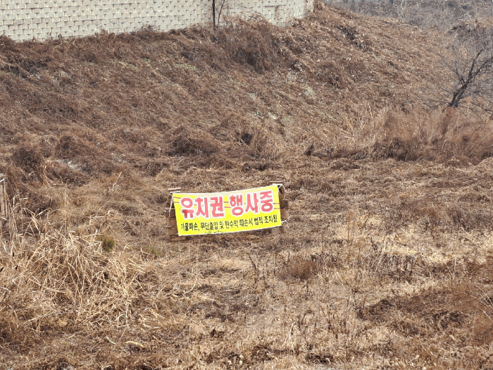 사진 10