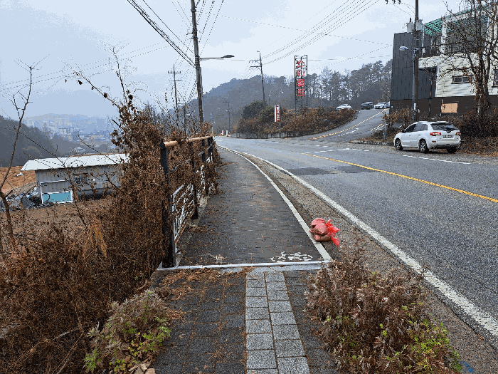 사진 13
