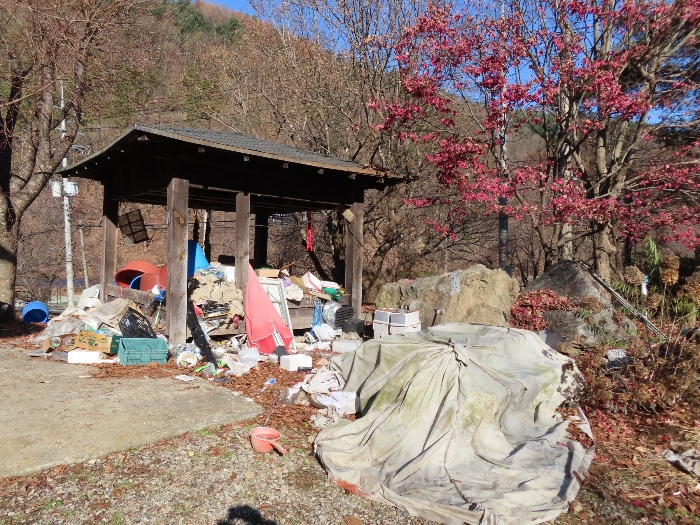사진 8